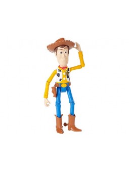 TOY STORY BASIC PERS.WOODY...