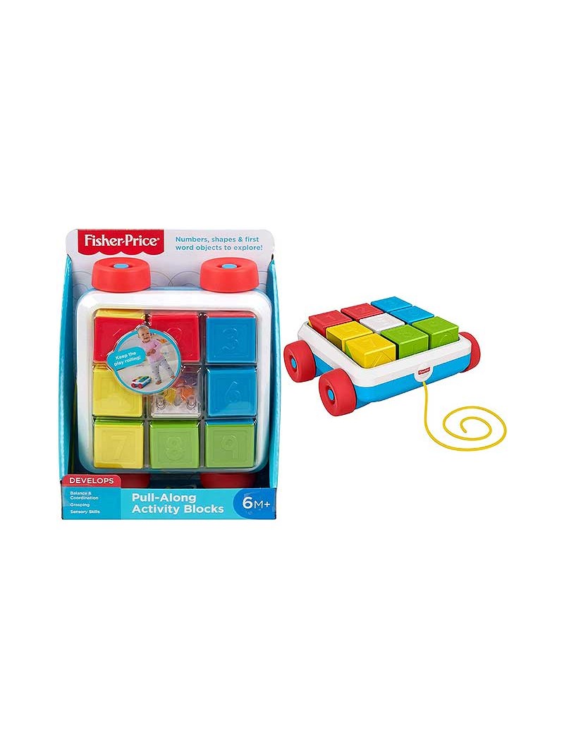 FISHER- PRICE PULL-ALONG ACTIVITY BLOCK