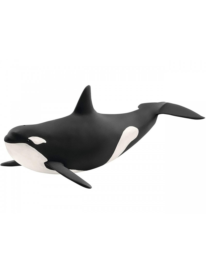 ORCA 14807