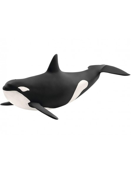 ORCA 14807