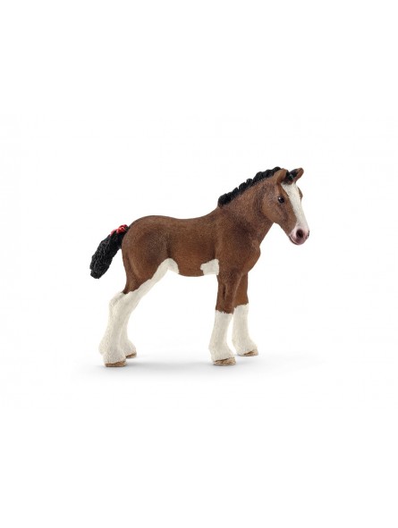 PULEDRO CLYDESDALE 13810