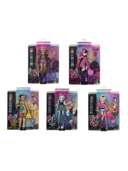 MONSTER HIGH CORE DOLL - PERSON HPD53-0