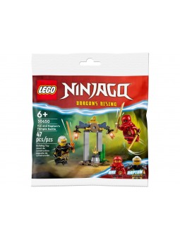 LEGO NINJAGO BATTAGLIA NEL TEMPIO 30650